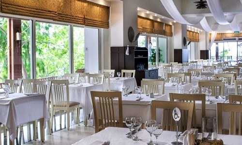 Luxury wellness interior designed by Ozge Fettahlioglu – biophilic hotel suite with timber, natural stone and greenery, by Cocoplum Wellness Design.