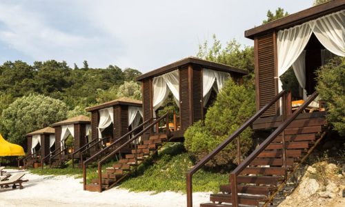 Luxury wellness interior designed by Ozge Fettahlioglu – biophilic hotel suite with timber, natural stone and greenery, by Cocoplum Wellness Design.